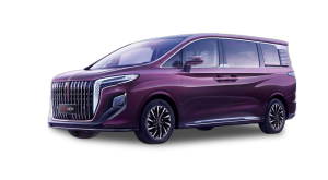 Коврики EVA на Hongqi HQ9 I 2022-