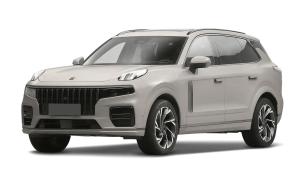 Эва коврики на Lynk&Co 09 2021-